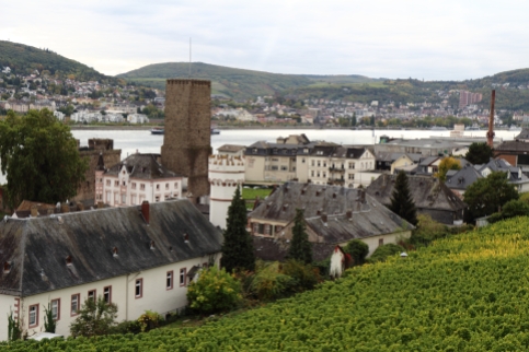 Wine and Rhine